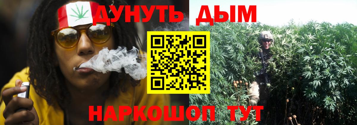 Тайшет  Шишки марихуана план  Шишки марихуана конопля  Вход с VPN  Бошки марихуана марихуана 